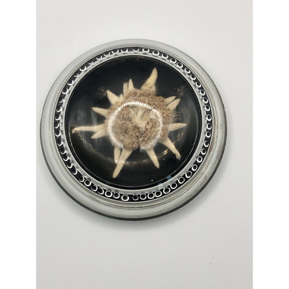 Clear Resin Paperweight w/ Dried Edelweiss Flower, Felt Bottom, Silvertone VTG